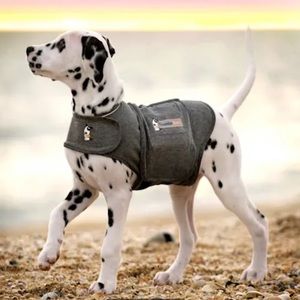 Thundershirt Dog Anxiety Solution!